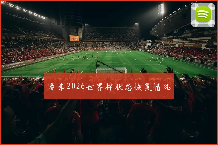 鲁弗2026世界杯状态恢复情况