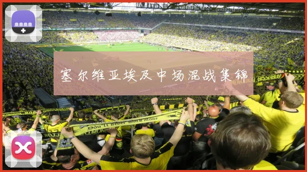 塞尔维亚埃及中场混战集锦
