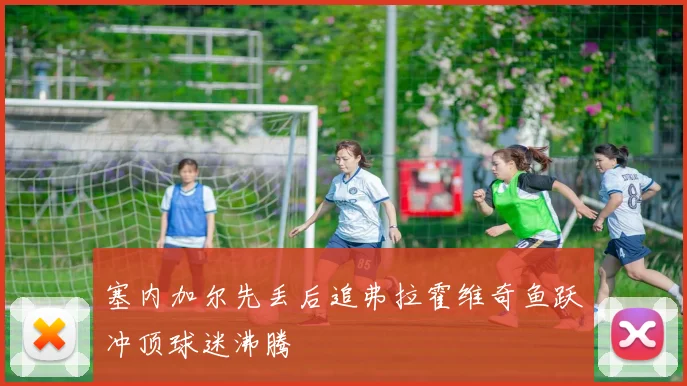 塞内加尔先丢后追弗拉霍维奇鱼跃冲顶球迷沸腾