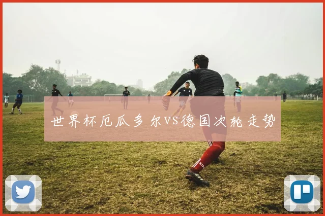 世界杯厄瓜多尔vs德国次轮走势
