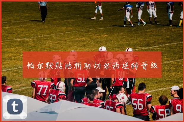 帕尔默贴地斩助切尔西逆转晋级