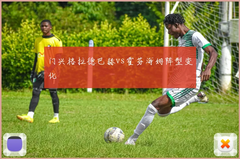 门兴格拉德巴赫vs霍芬海姆阵型变化