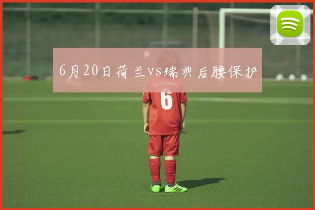 6月20日荷兰vs瑞典后腰保护