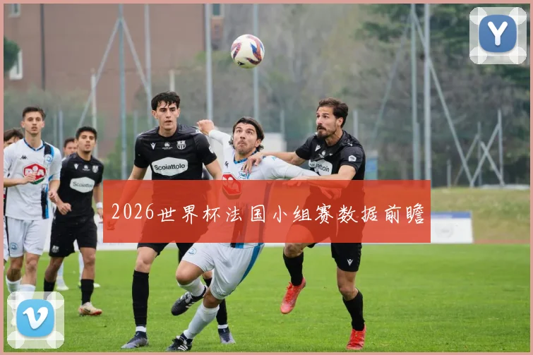 2026世界杯法国小组赛数据前瞻